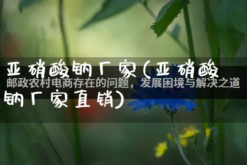 亚硝酸钠厂家(亚硝酸钠厂家直销)_https://www.gdbxwh.com_代运营_第1张