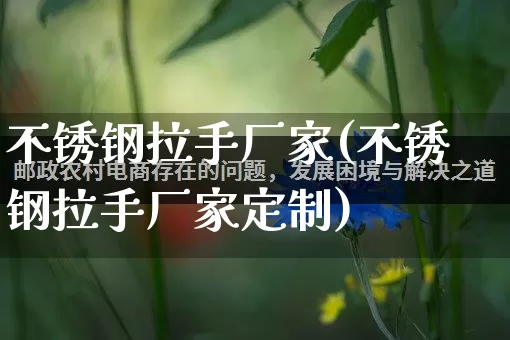 不锈钢拉手厂家(不锈钢拉手厂家定制)_https://www.gdbxwh.com_抖音快手_第1张