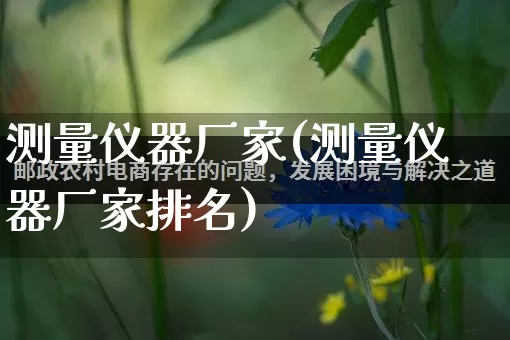 测量仪器厂家(测量仪器厂家排名)_https://www.gdbxwh.com_淘宝运营_第1张