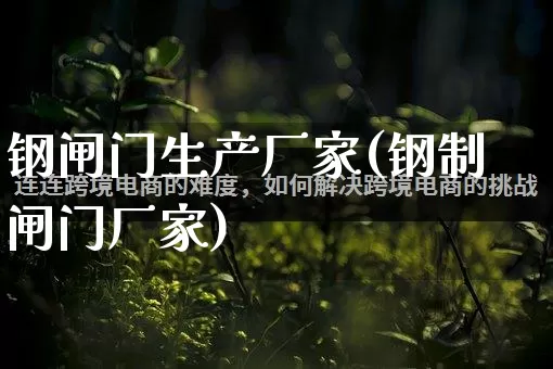 钢闸门生产厂家(钢制闸门厂家)_https://www.gdbxwh.com_开网店_第1张