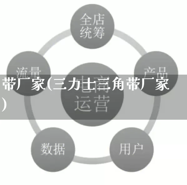 带厂家(三力士三角带厂家)_https://www.gdbxwh.com_开网店_第1张