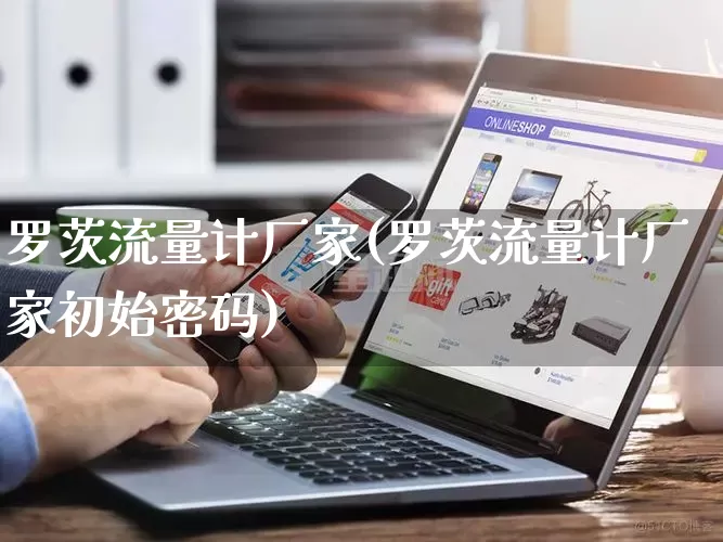 罗茨流量计厂家(罗茨流量计厂家初始密码)_https://www.gdbxwh.com_淘宝运营_第1张
