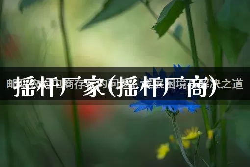 摇杆厂家(摇杆厂商)_https://www.gdbxwh.com_淘宝运营_第1张