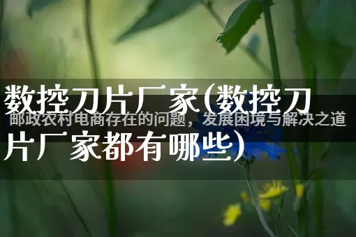 数控刀片厂家(数控刀片厂家都有哪些)_https://www.gdbxwh.com_淘宝运营_第1张