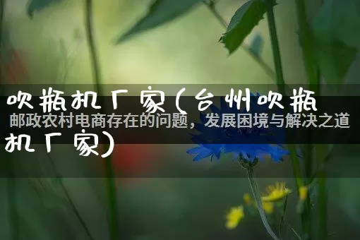 吹瓶机厂家(台州吹瓶机厂家)_https://www.gdbxwh.com_抖音快手_第1张