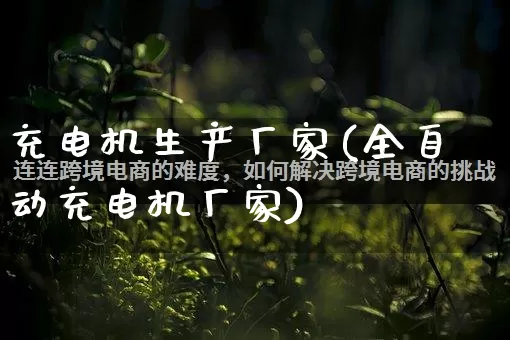 充电机生产厂家(全自动充电机厂家)_https://www.gdbxwh.com_代运营_第1张