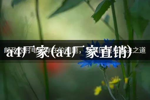 a4厂家(a4厂家直销)_https://www.gdbxwh.com_淘宝运营_第1张