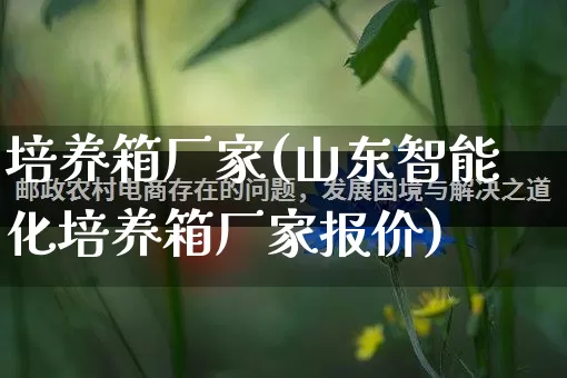 培养箱厂家(山东智能化培养箱厂家报价)_https://www.gdbxwh.com_直通车_第1张