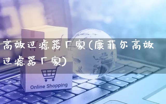 高效过滤器厂家(康菲尔高效过滤器厂家)_https://www.gdbxwh.com_直通车_第1张