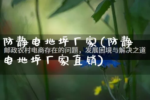 防静电地坪厂家(防静电地坪厂家直销)_https://www.gdbxwh.com_淘宝运营_第1张