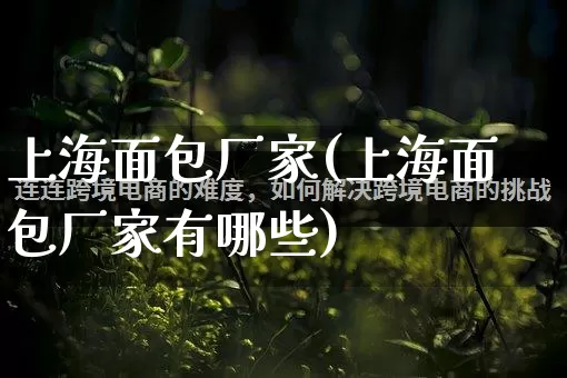 上海面包厂家(上海面包厂家有哪些)_https://www.gdbxwh.com_代运营_第1张