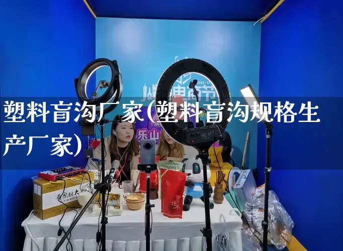 塑料盲沟厂家(塑料盲沟规格生产厂家)_https://www.gdbxwh.com_淘宝运营_第1张