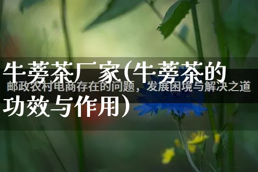牛蒡茶厂家(牛蒡茶的功效与作用)_https://www.gdbxwh.com_开网店_第1张