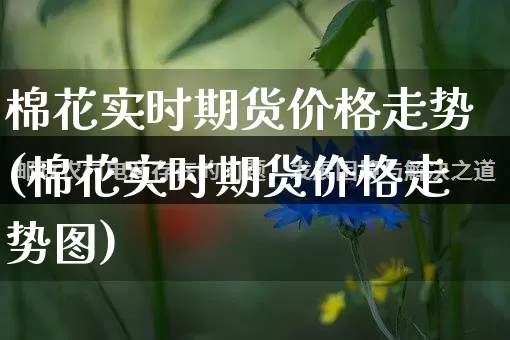 棉花实时期货价格走势(棉花实时期货价格走势图)_https://www.gdbxwh.com_直通车_第1张
