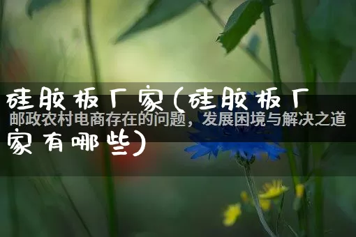 硅胶板厂家(硅胶板厂家有哪些)_https://www.gdbxwh.com_抖音快手_第1张