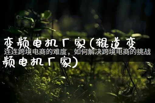 变频电机厂家(辊道变频电机厂家)_https://www.gdbxwh.com_淘宝运营_第1张