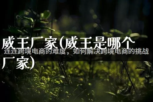 威王厂家(威王是哪个厂家)_https://www.gdbxwh.com_直通车_第1张