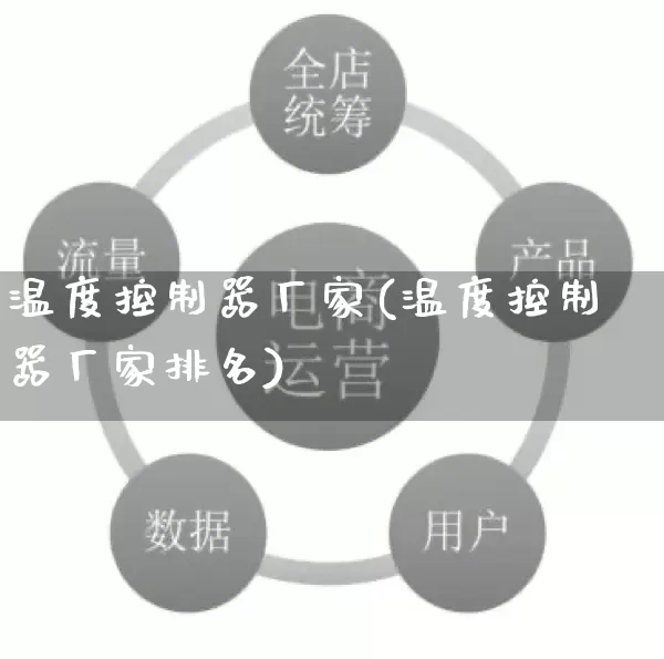 温度控制器厂家(温度控制器厂家排名)_https://www.gdbxwh.com_淘宝运营_第1张