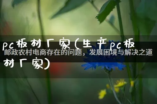 pc板材厂家(生产pc板材厂家)_https://www.gdbxwh.com_淘宝运营_第1张