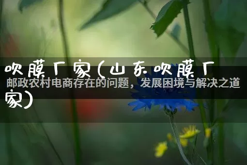 吹膜厂家(山东吹膜厂家)_https://www.gdbxwh.com_直通车_第1张