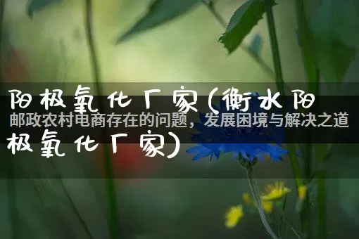 阳极氧化厂家(衡水阳极氧化厂家)_https://www.gdbxwh.com_抖音快手_第1张