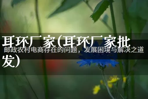 耳环厂家(耳环厂家批发)_https://www.gdbxwh.com_直通车_第1张