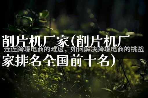 削片机厂家(削片机厂家排名全国前十名)_https://www.gdbxwh.com_天猫运营_第1张
