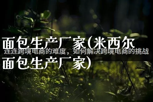 面包生产厂家(米西尔面包生产厂家)_https://www.gdbxwh.com_直通车_第1张