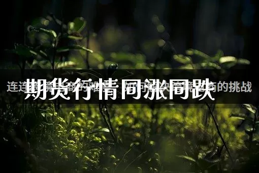 期货行情同涨同跌_https://www.gdbxwh.com_天猫运营_第1张