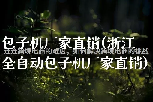 包子机厂家直销(浙江全自动包子机厂家直销)_https://www.gdbxwh.com_代运营_第1张