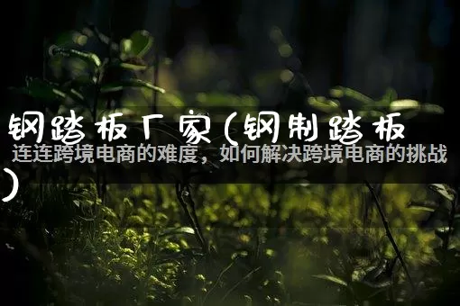 钢踏板厂家(钢制踏板)_https://www.gdbxwh.com_代运营_第1张