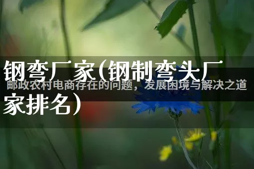 钢弯厂家(钢制弯头厂家排名)_https://www.gdbxwh.com_淘宝运营_第1张