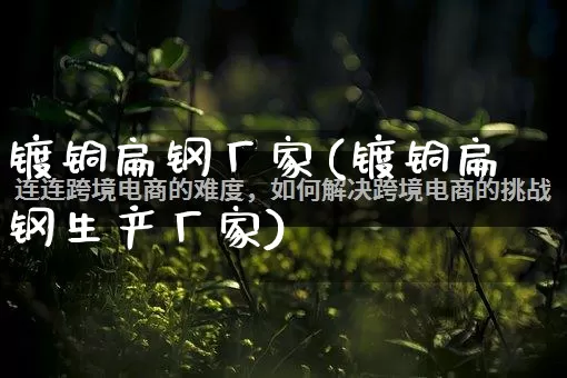 镀铜扁钢厂家(镀铜扁钢生产厂家)_https://www.gdbxwh.com_天猫运营_第1张