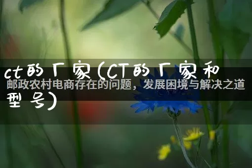 ct的厂家(CT的厂家和型号)_https://www.gdbxwh.com_抖音快手_第1张