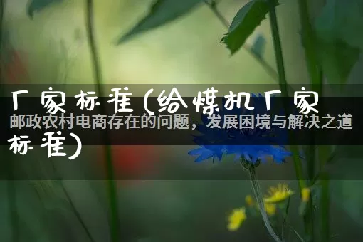 厂家标准(给煤机厂家标准)_https://www.gdbxwh.com_代运营_第1张