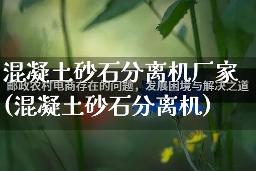 混凝土砂石分离机厂家(混凝土砂石分离机)_https://www.gdbxwh.com_淘宝运营_第1张