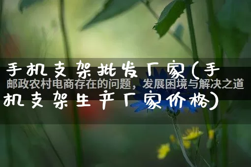 手机支架批发厂家(手机支架生产厂家价格)_https://www.gdbxwh.com_开网店_第1张