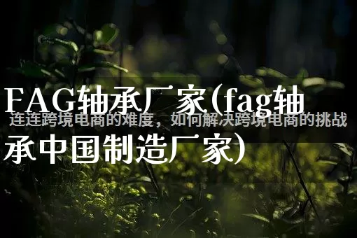 FAG轴承厂家(fag轴承中国制造厂家)_https://www.gdbxwh.com_开网店_第1张