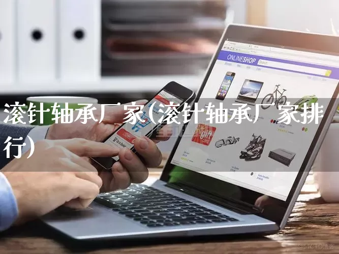 滚针轴承厂家(滚针轴承厂家排行)_https://www.gdbxwh.com_淘宝运营_第1张