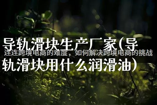 导轨滑块生产厂家(导轨滑块用什么润滑油)_https://www.gdbxwh.com_开网店_第1张