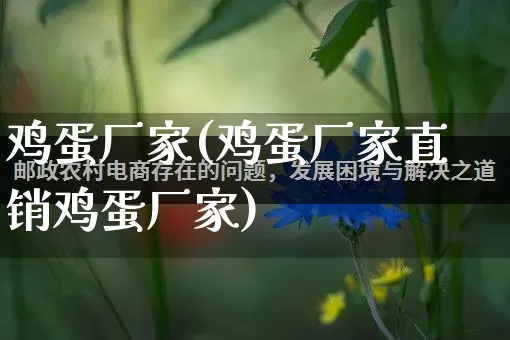 鸡蛋厂家(鸡蛋厂家直销鸡蛋厂家)_https://www.gdbxwh.com_直通车_第1张
