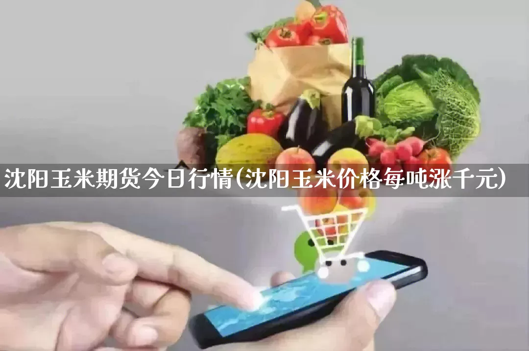 沈阳玉米期货今日行情(沈阳玉米价格每吨涨千元)_https://www.gdbxwh.com_开网店_第1张