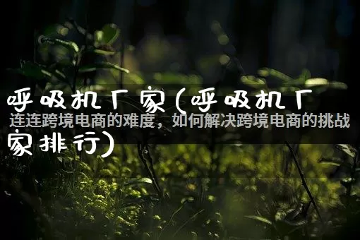 呼吸机厂家(呼吸机厂家排行)_https://www.gdbxwh.com_天猫运营_第1张