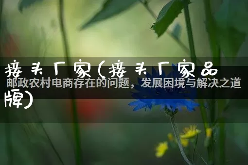 接头厂家(接头厂家品牌)_https://www.gdbxwh.com_直通车_第1张