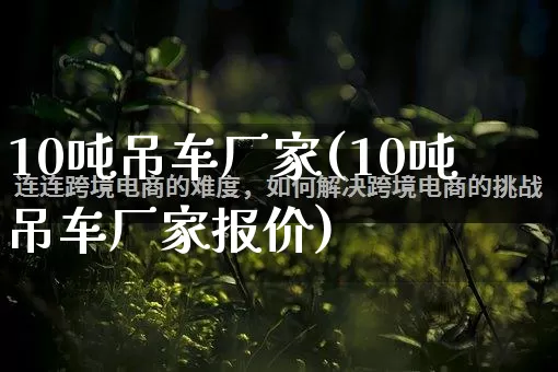 10吨吊车厂家(10吨吊车厂家报价)_https://www.gdbxwh.com_开网店_第1张