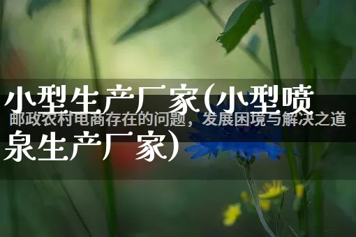 小型生产厂家(小型喷泉生产厂家)_https://www.gdbxwh.com_淘宝运营_第1张