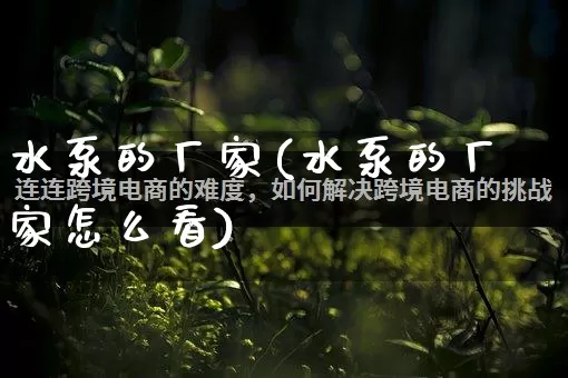 水泵的厂家(水泵的厂家怎么看)_https://www.gdbxwh.com_淘宝运营_第1张