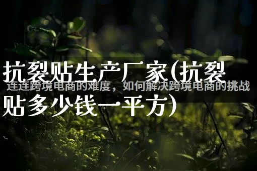抗裂贴生产厂家(抗裂贴多少钱一平方)_https://www.gdbxwh.com_淘宝运营_第1张