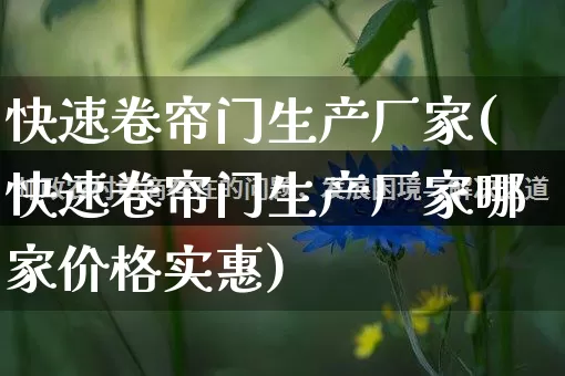 快速卷帘门生产厂家(快速卷帘门生产厂家哪家价格实惠)_https://www.gdbxwh.com_代运营_第1张