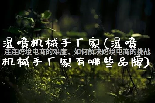 湿喷机械手厂家(湿喷机械手厂家有哪些品牌)_https://www.gdbxwh.com_天猫运营_第1张